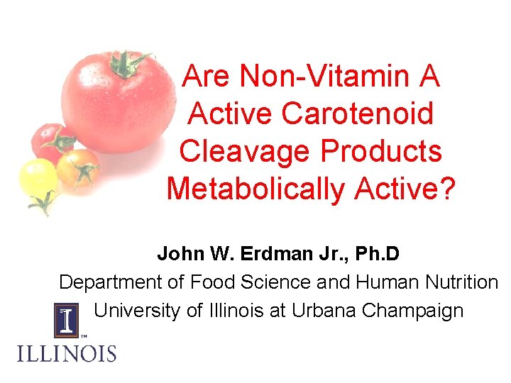 Are Non-Vitamin A Active Carotenoid Cleavage Products Metabolically Active? John W. Erdman Jr. ,