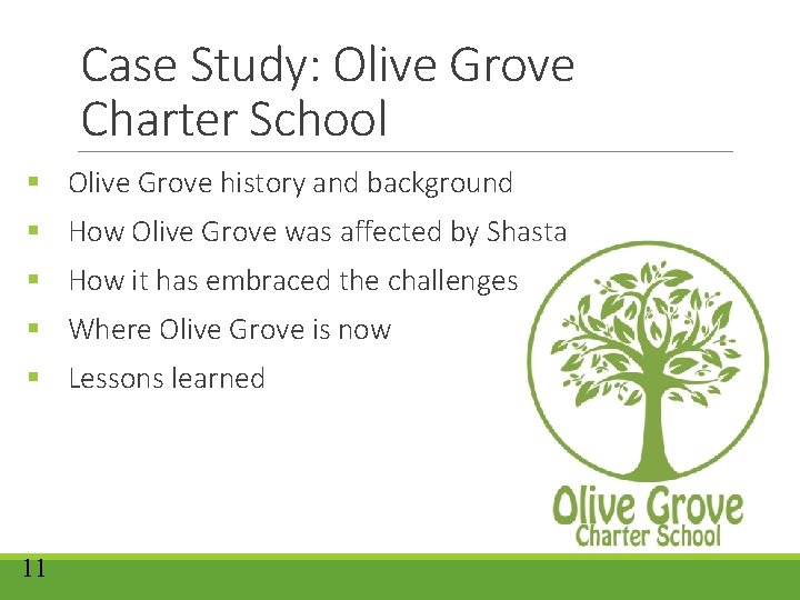 Case Study: Olive Grove Charter School § Olive Grove history and background § How Case Study: Olive Grove Charter School § Olive Grove history and background § How