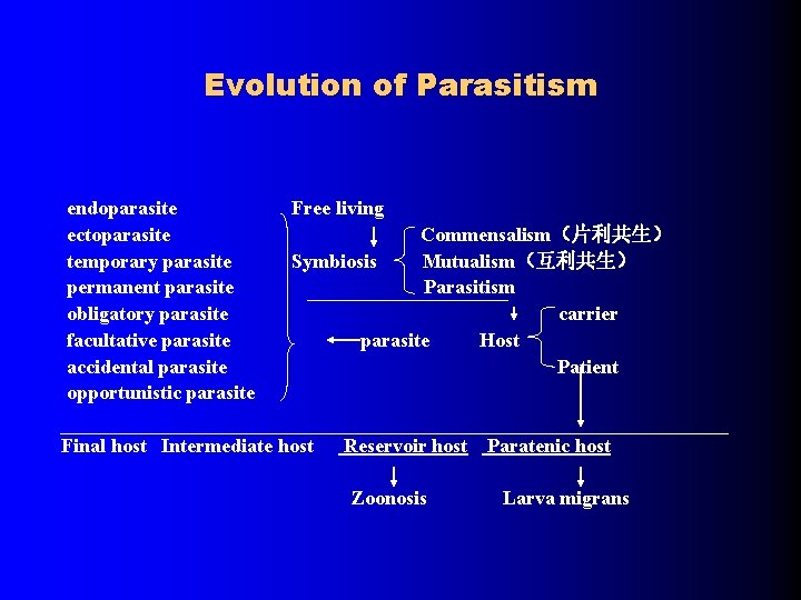 Evolution of Parasitism endoparasite ectoparasite temporary parasite permanent parasite obligatory parasite facultative parasite accidental