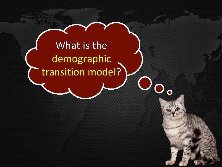 What is the demographic transition model? What is the demographic transition model?