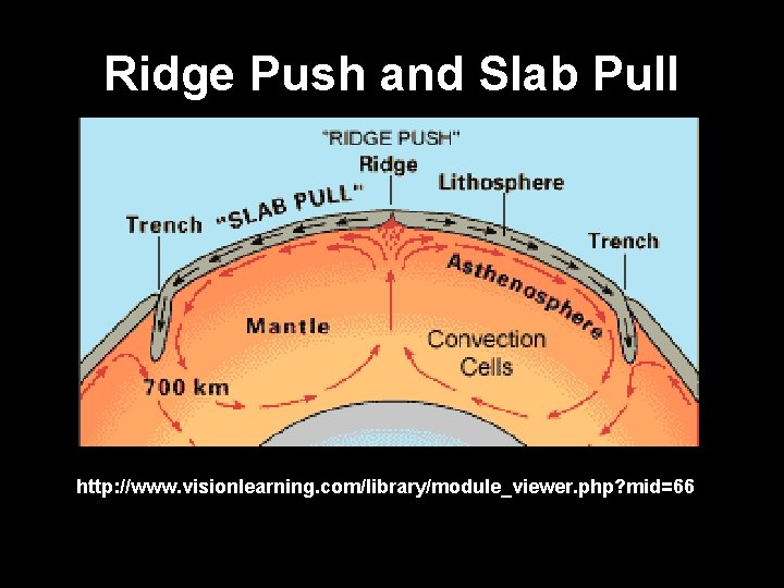 Ridge Push and Slab Pull http: //www. visionlearning. com/library/module_viewer. php? mid=66 