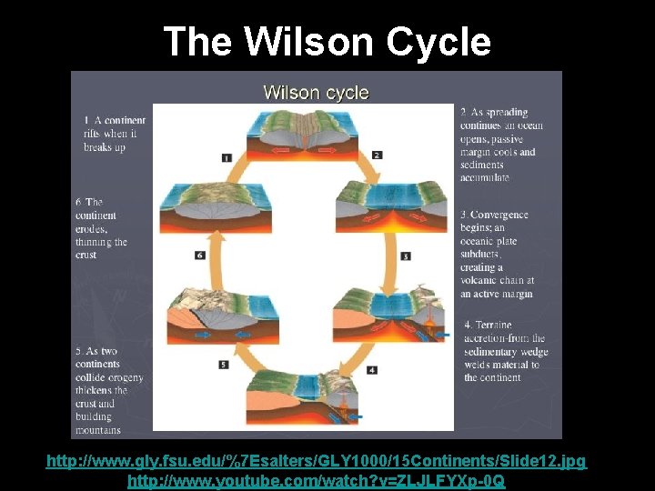 The Wilson Cycle http: //www. gly. fsu. edu/%7 Esalters/GLY 1000/15 Continents/Slide 12. jpg http: