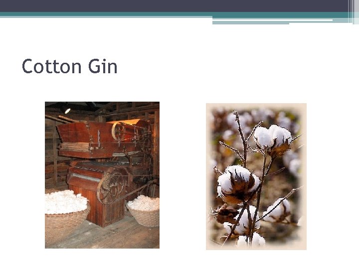 Cotton Gin 