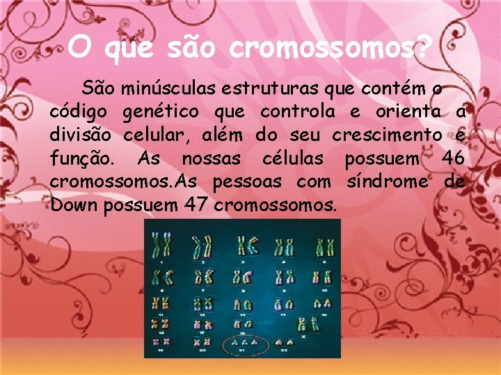 O que são cromossomos? São minúsculas estruturas que contém o código genético que controla