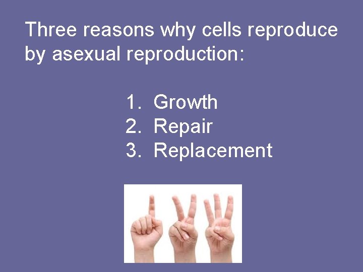 Three reasons why cells reproduce by asexual reproduction: 1. Growth 2. Repair 3. Replacement