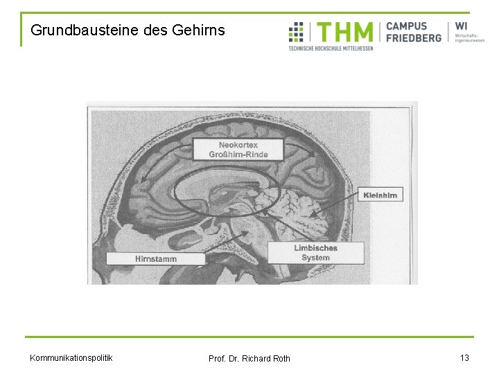 Grundbausteine des Gehirns Kommunikationspolitik Prof. Dr. Richard Roth 13 