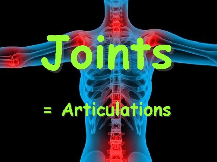 Joints = Articulations 