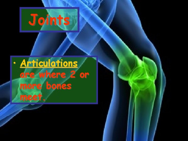 Joints • Articulations are where 2 or more bones meet. 