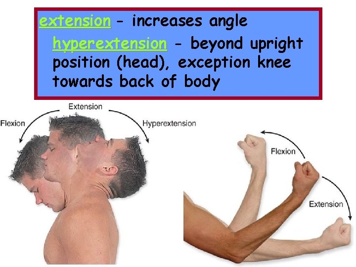 extension - increases angle hyperextension - beyond upright position (head), exception knee towards back