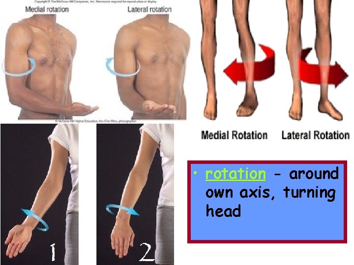  • rotation - around own axis, turning head 