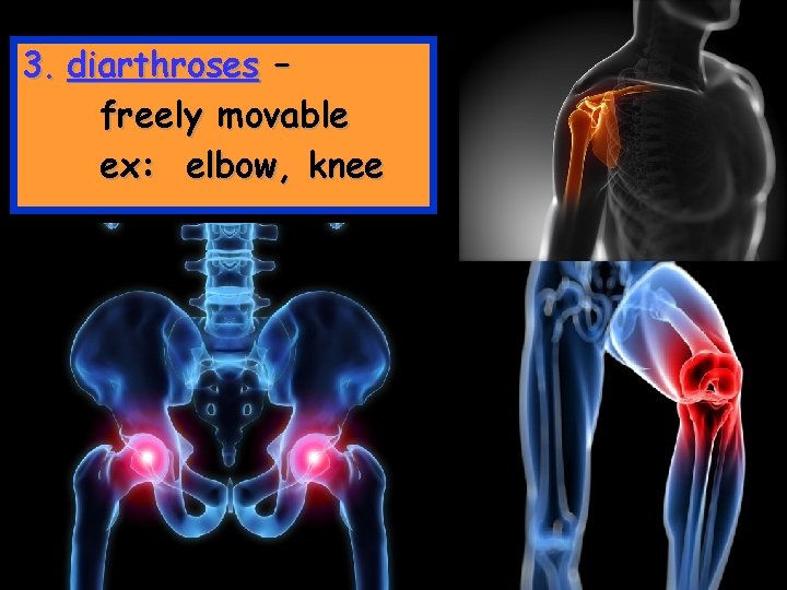 3. diarthroses – freely movable ex: elbow, knee 