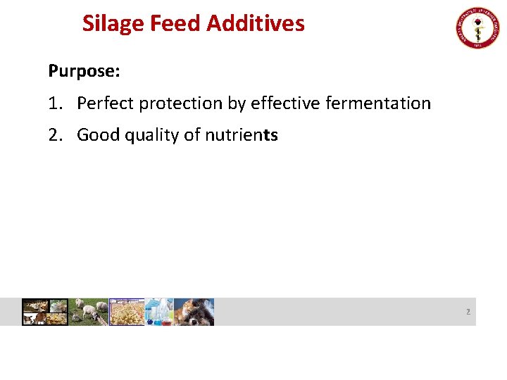 Silage Feed Additives Purpose: 1. Perfect protection by effective fermentation 2. Good quality of