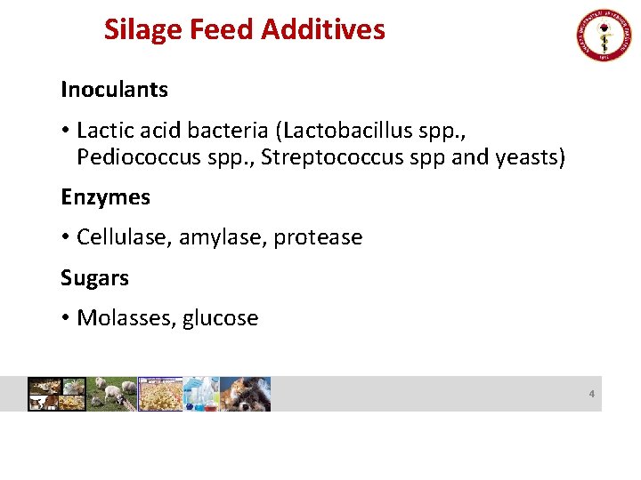 Silage Feed Additives Inoculants • Lactic acid bacteria (Lactobacillus spp. , Pediococcus spp. ,