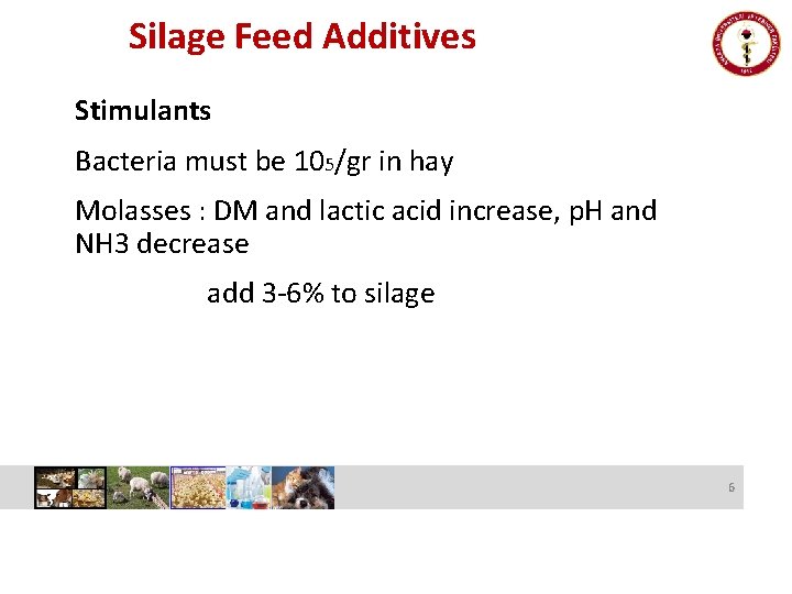 Silage Feed Additives Stimulants Bacteria must be 105/gr in hay Molasses : DM and