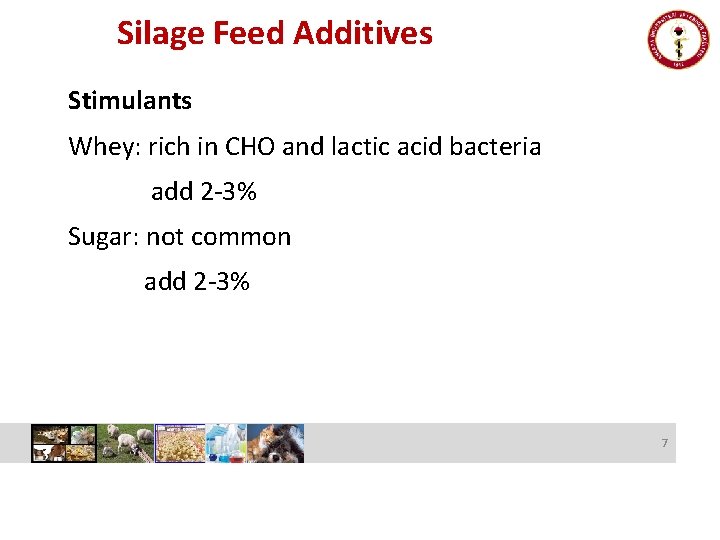 Silage Feed Additives Stimulants Whey: rich in CHO and lactic acid bacteria add 2