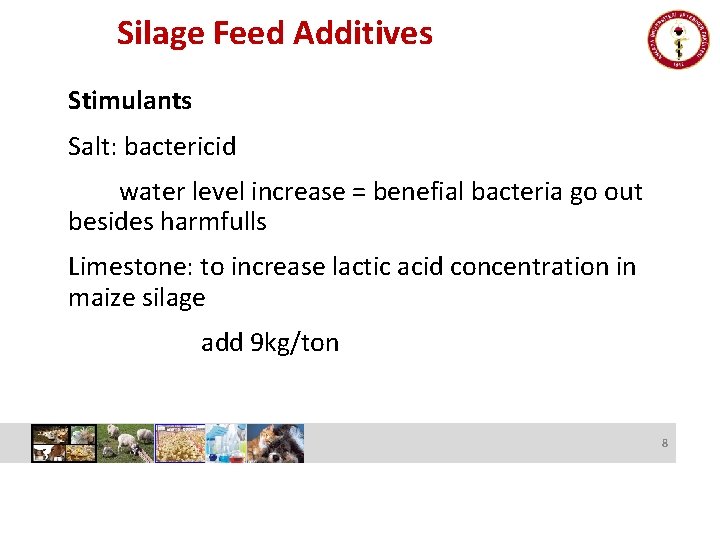 Silage Feed Additives Stimulants Salt: bactericid water level increase = benefial bacteria go out