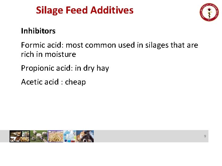 Silage Feed Additives Inhibitors Formic acid: most common used in silages that are rich