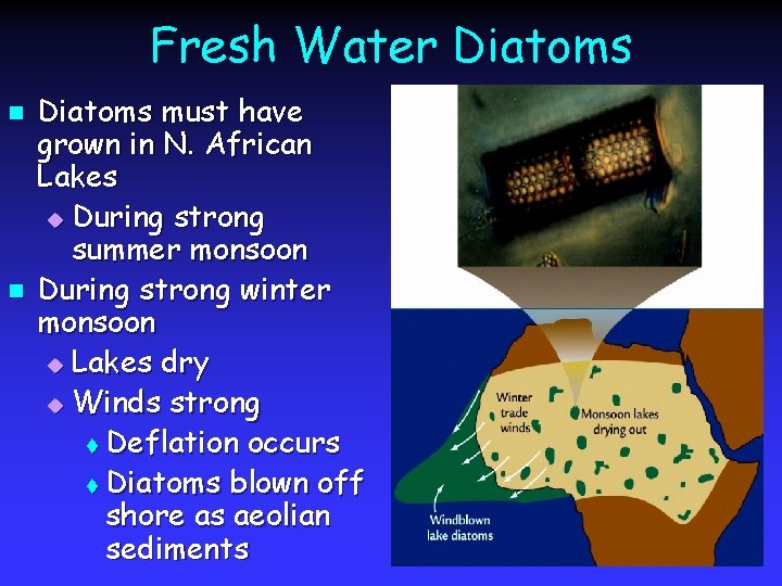 Fresh Water Diatoms n n Diatoms must have grown in N. African Lakes u