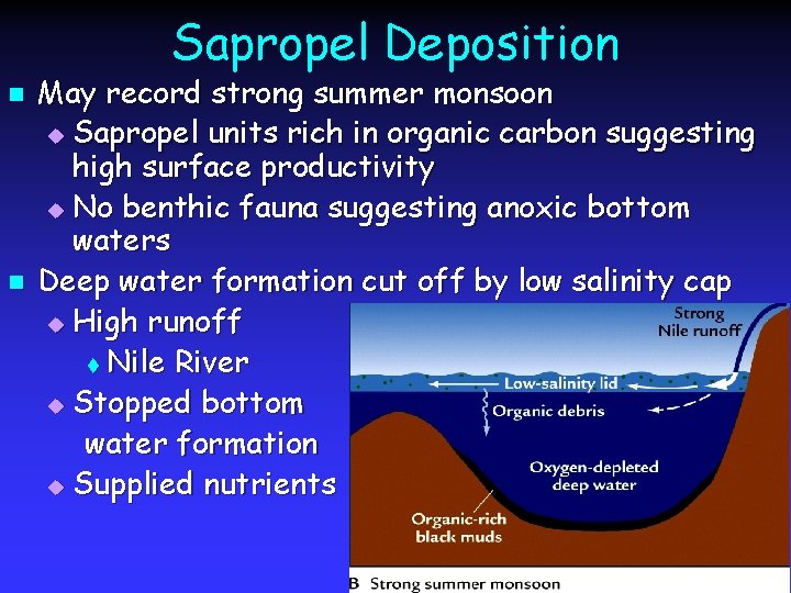 Sapropel Deposition n n May record strong summer monsoon u Sapropel units rich in