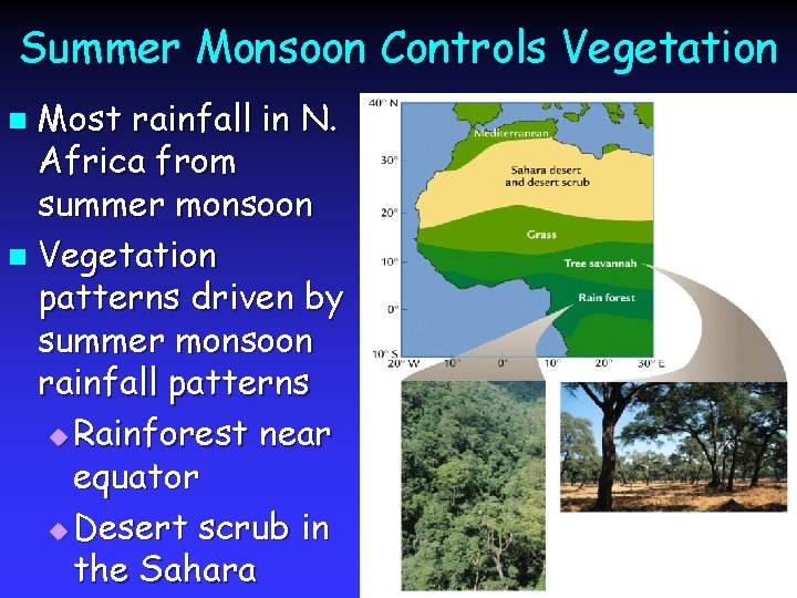 Summer Monsoon Controls Vegetation Most rainfall in N. Africa from summer monsoon n Vegetation