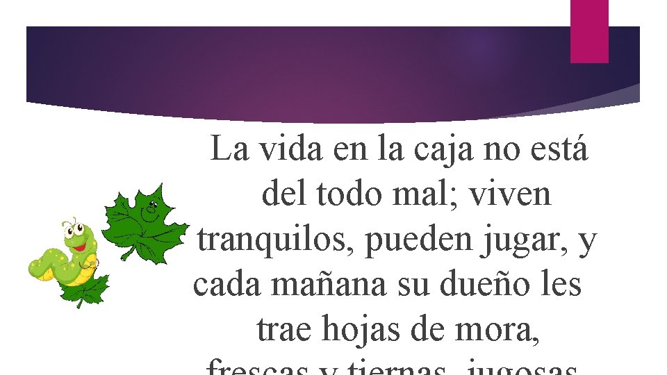 La vida en la caja no está del todo mal; viven tranquilos, pueden jugar,