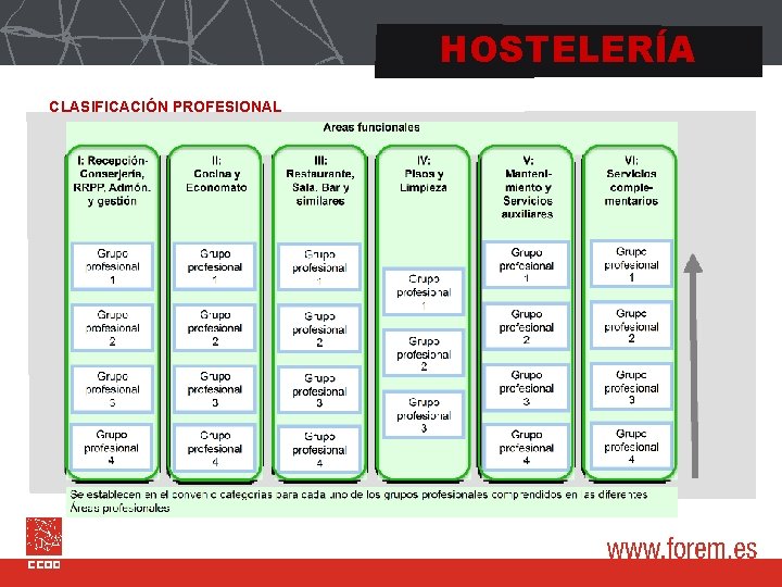 HOSTELERÍA CLASIFICACIÓN PROFESIONAL 