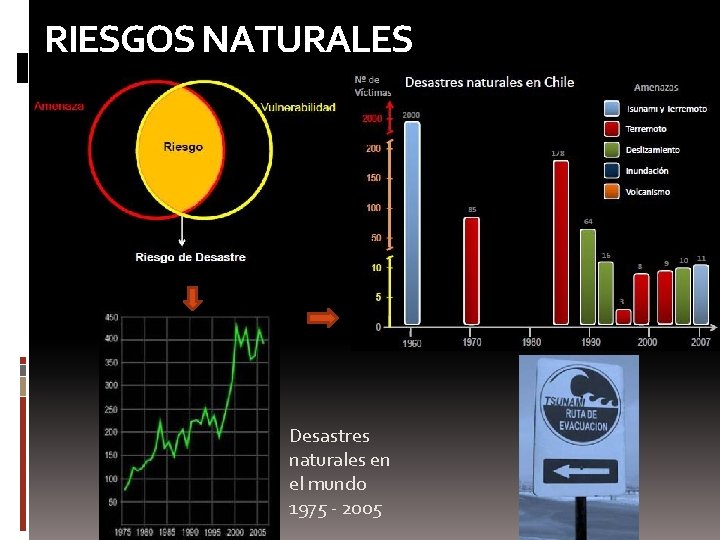 RIESGOS NATURALES Desastres naturales en el mundo 1975 - 2005 