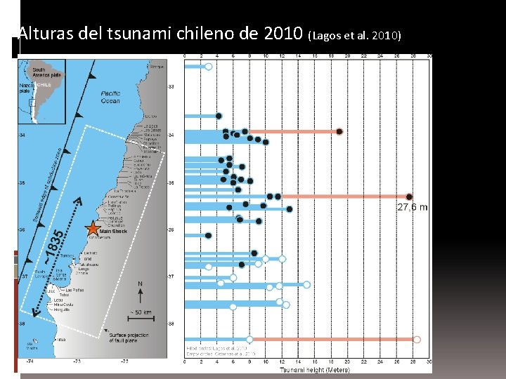 Alturas del tsunami chileno de 2010 (Lagos et al. 2010) 