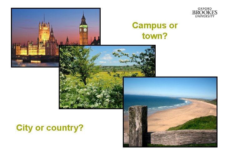Campus or town? City or country? 