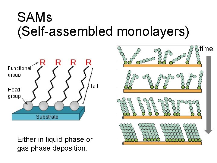 SAMs (Self-assembled monolayers) time Either in liquid phase or gas phase deposition. 