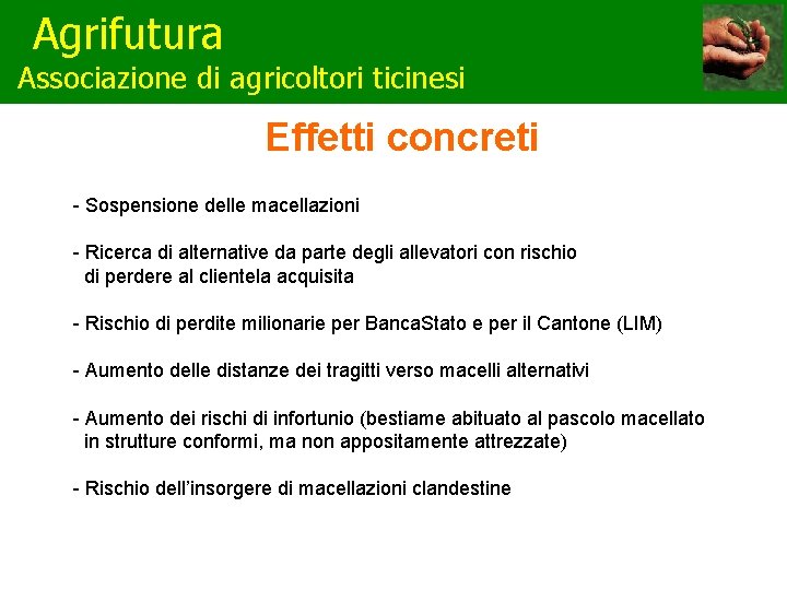 Agrifutura Associazione di agricoltori ticinesi Effetti concreti - Sospensione delle macellazioni - Ricerca di