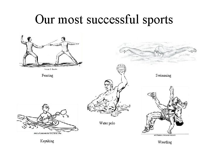 Our most successful sports Fencing Swimming Water polo Kayaking Wrestling 