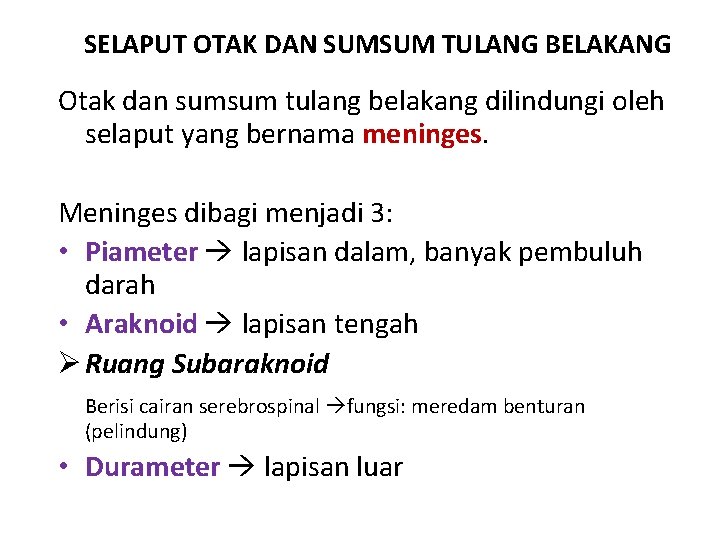 SELAPUT OTAK DAN SUMSUM TULANG BELAKANG Otak dan sumsum tulang belakang dilindungi oleh selaput