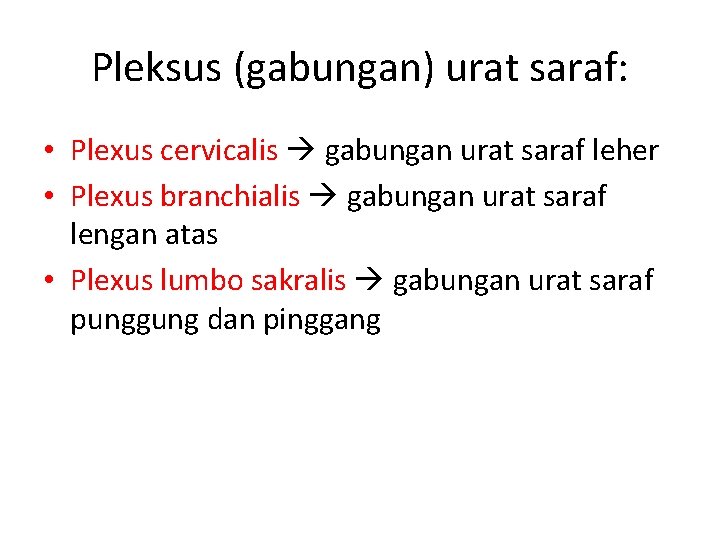 Pleksus (gabungan) urat saraf: • Plexus cervicalis gabungan urat saraf leher • Plexus branchialis Pleksus (gabungan) urat saraf: • Plexus cervicalis gabungan urat saraf leher • Plexus branchialis
