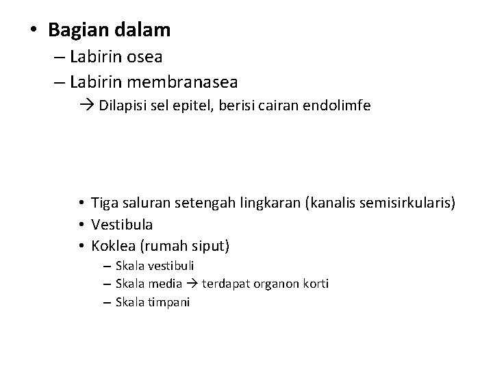  • Bagian dalam – Labirin osea – Labirin membranasea Dilapisi sel epitel, berisi