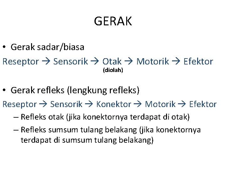 GERAK • Gerak sadar/biasa Reseptor Sensorik Otak Motorik Efektor (diolah) • Gerak refleks (lengkung