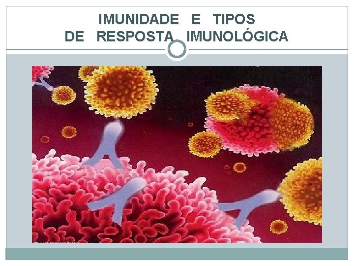 IMUNIDADE E TIPOS DE RESPOSTA IMUNOLÓGICA 