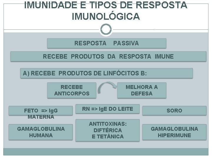 IMUNIDADE E TIPOS DE RESPOSTA IMUNOLÓGICA RESPOSTA PASSIVA RECEBE PRODUTOS DA RESPOSTA IMUNE A)