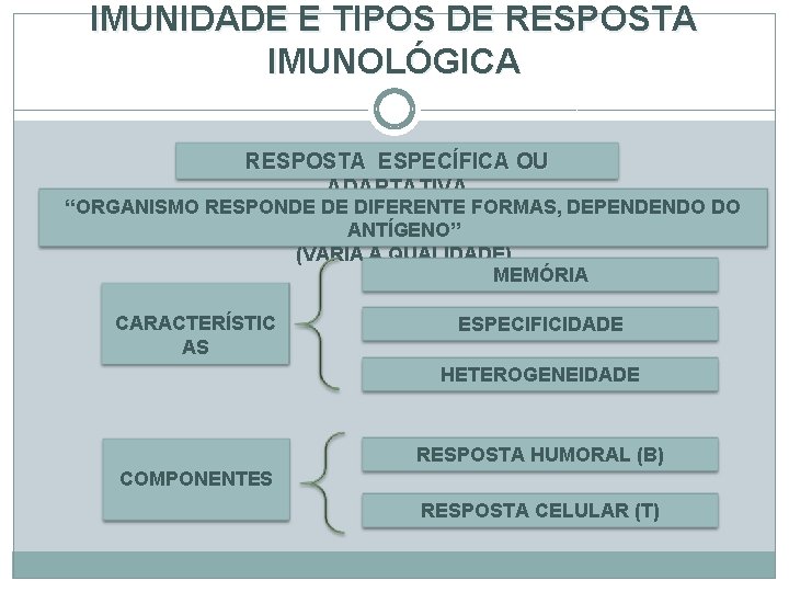 IMUNIDADE E TIPOS DE RESPOSTA IMUNOLÓGICA RESPOSTA ESPECÍFICA OU ADAPTATIVA “ORGANISMO RESPONDE DE DIFERENTE