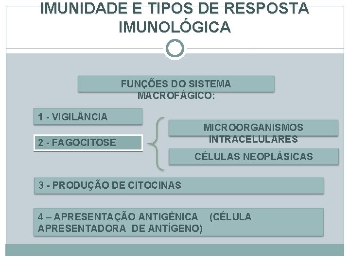 IMUNIDADE E TIPOS DE RESPOSTA IMUNOLÓGICA FUNÇÕES DO SISTEMA MACROFÁGICO: 1 - VIGIL NCIA