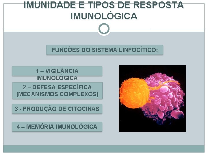 IMUNIDADE E TIPOS DE RESPOSTA IMUNOLÓGICA FUNÇÕES DO SISTEMA LINFOCÍTICO: 1 – VIGIL NCIA