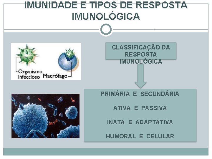 IMUNIDADE E TIPOS DE RESPOSTA IMUNOLÓGICA CLASSIFICAÇÃO DA RESPOSTA IMUNOLÓGICA PRIMÁRIA E SECUNDÁRIA ATIVA