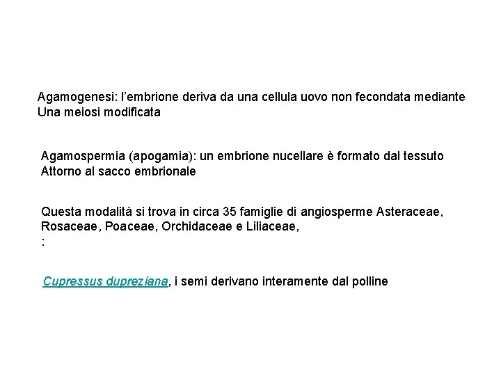 Agamogenesi: l’embrione deriva da una cellula uovo non fecondata mediante Una meiosi modificata Agamospermia