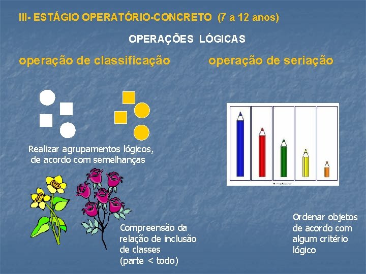 III- ESTÁGIO OPERATÓRIO-CONCRETO (7 a 12 anos) OPERAÇÕES LÓGICAS operação de classificação operação de