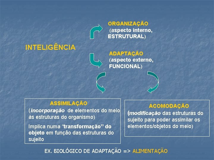 ORGANIZAÇÃO (aspecto interno, ESTRUTURAL) INTELIGÊNCIA ADAPTAÇÃO (aspecto externo, FUNCIONAL) ASSIMILAÇÃO (incorporação de elementos do