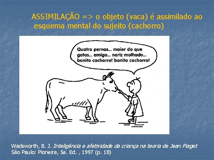 ASSIMILAÇÃO => o objeto (vaca) é assimilado ao esquema mental do sujeito (cachorro) Wadsworth,