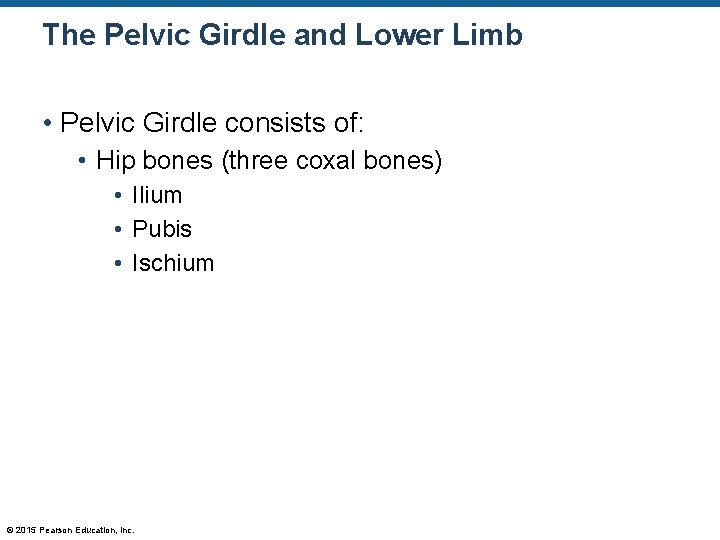 The Pelvic Girdle and Lower Limb • Pelvic Girdle consists of: • Hip bones The Pelvic Girdle and Lower Limb • Pelvic Girdle consists of: • Hip bones