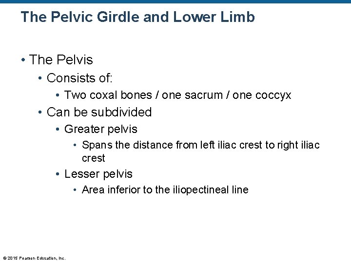 The Pelvic Girdle and Lower Limb • The Pelvis • Consists of: • Two The Pelvic Girdle and Lower Limb • The Pelvis • Consists of: • Two