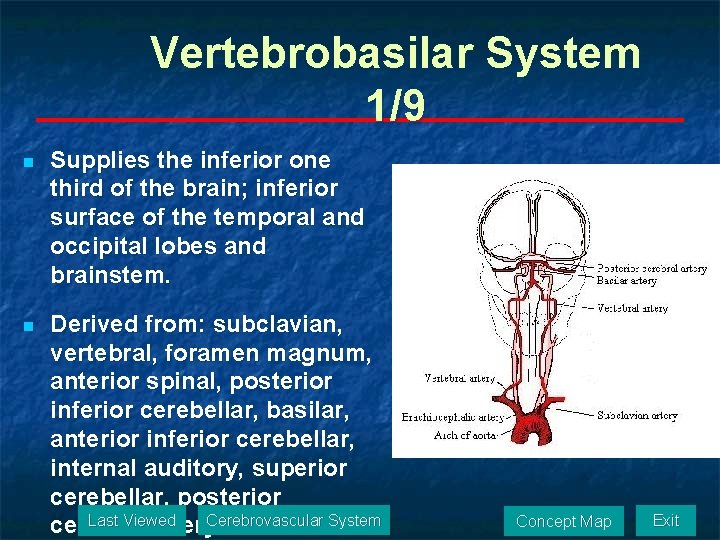 Vertebrobasilar System 1/9 n Supplies the inferior one third of the brain; inferior surface