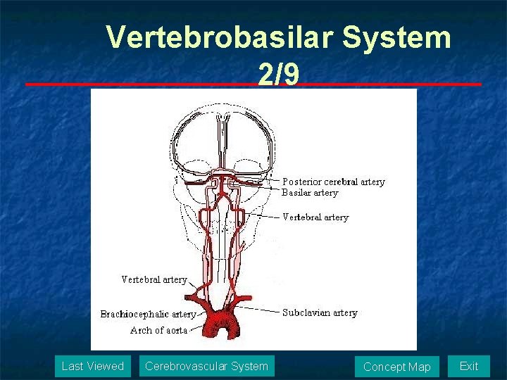 Vertebrobasilar System 2/9 Last Viewed Cerebrovascular System Concept Map Exit 